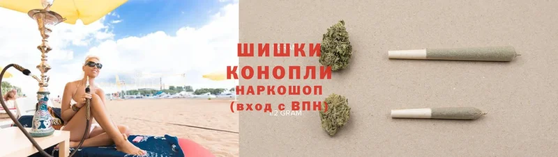 мориарти официальный сайт  Россошь  Бошки марихуана OG Kush 